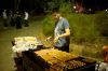 Filename=DSC_2011.jpg
Filesize=317KB
Dimensions=1500x998
Date added=Feb 26, 2012 DSC_2011.jpg