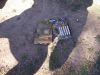 Filename=respawn_v3_085.jpg
Filesize=292KB
Dimensions=1600x1200
Date added=Apr 28, 2008 respawn_v3_085.jpg